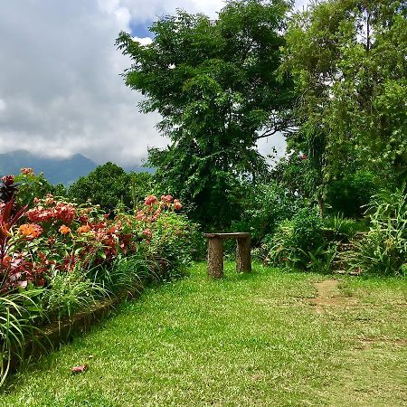 Hidden Paradise Guest House Pokhara Dış mekan fotoğraf