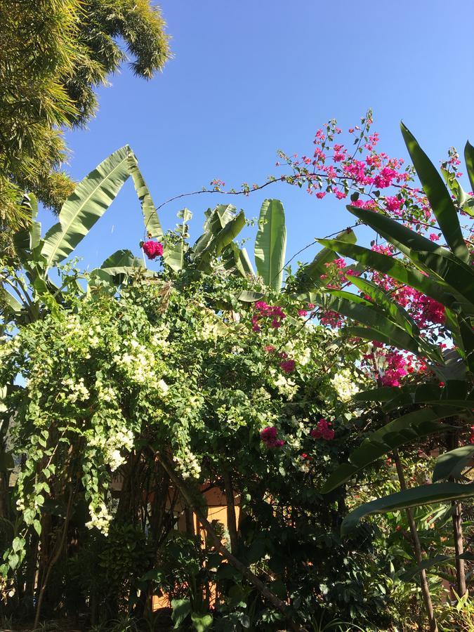 Hidden Paradise Guest House Pokhara Dış mekan fotoğraf
