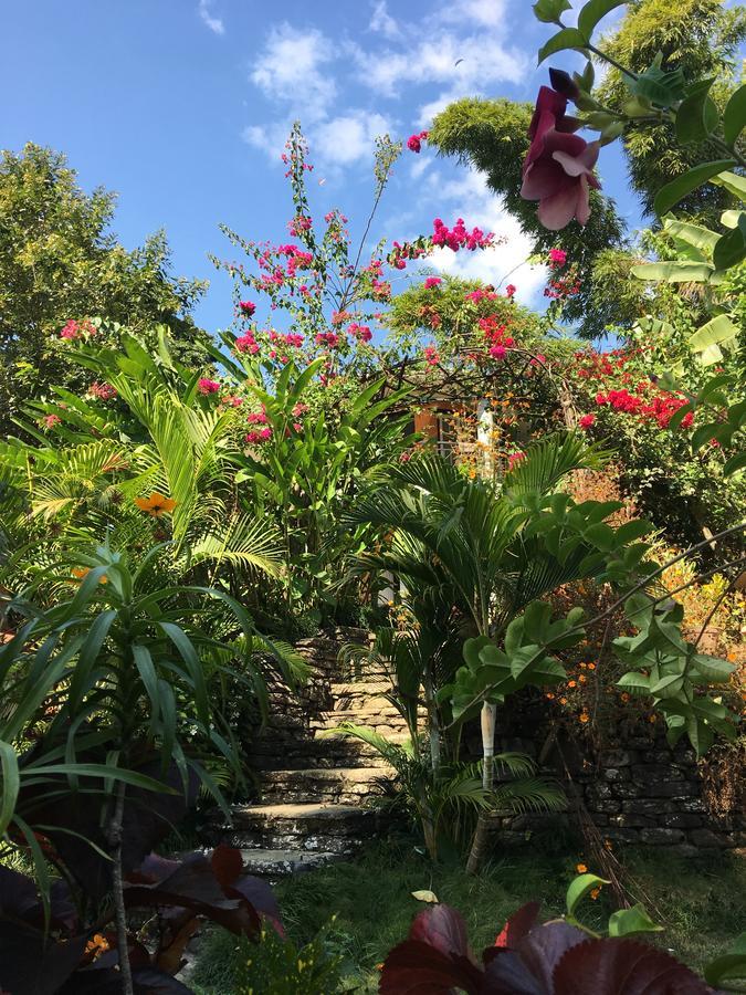 Hidden Paradise Guest House Pokhara Dış mekan fotoğraf