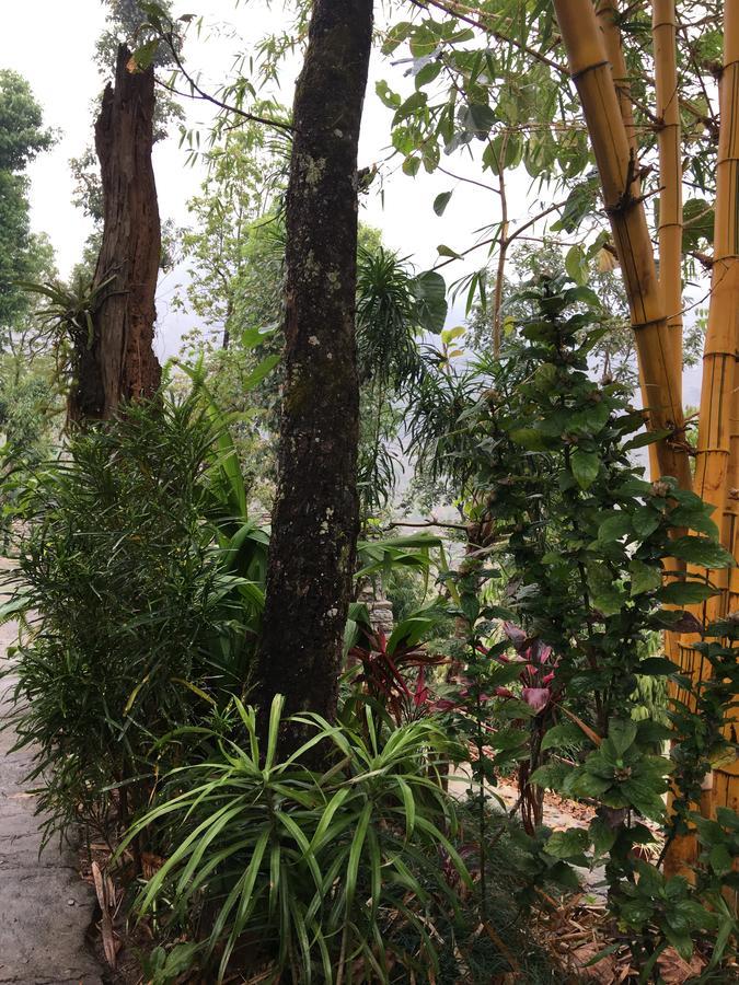 Hidden Paradise Guest House Pokhara Dış mekan fotoğraf