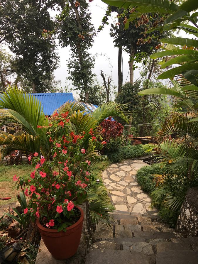 Hidden Paradise Guest House Pokhara Dış mekan fotoğraf