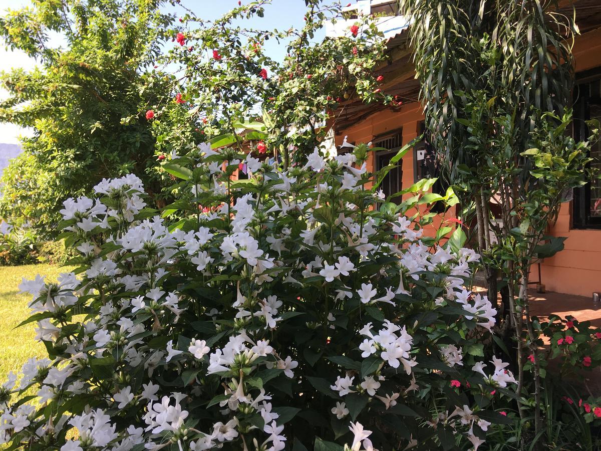 Hidden Paradise Guest House Pokhara Dış mekan fotoğraf