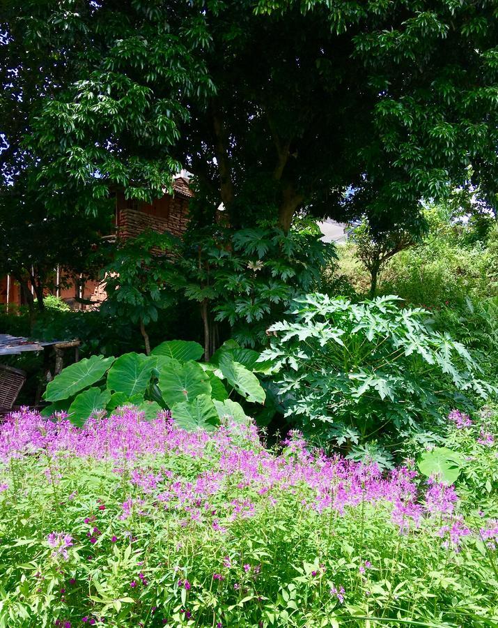 Hidden Paradise Guest House Pokhara Dış mekan fotoğraf