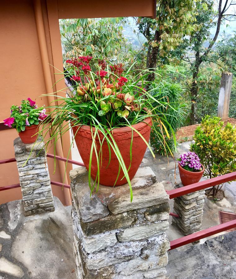 Hidden Paradise Guest House Pokhara Dış mekan fotoğraf